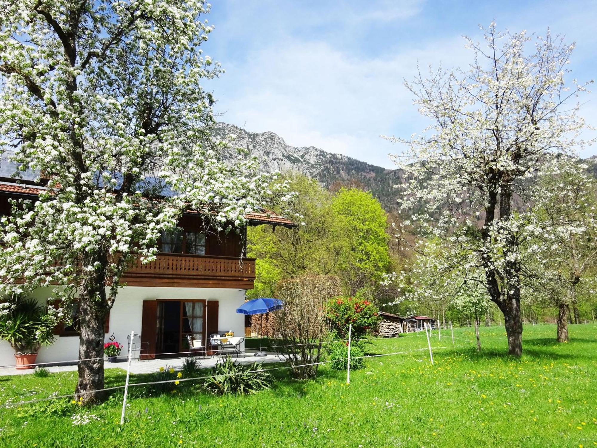 Ferienwohnungen Auhaus บาดไรเฮนฮัล ภายนอก รูปภาพ